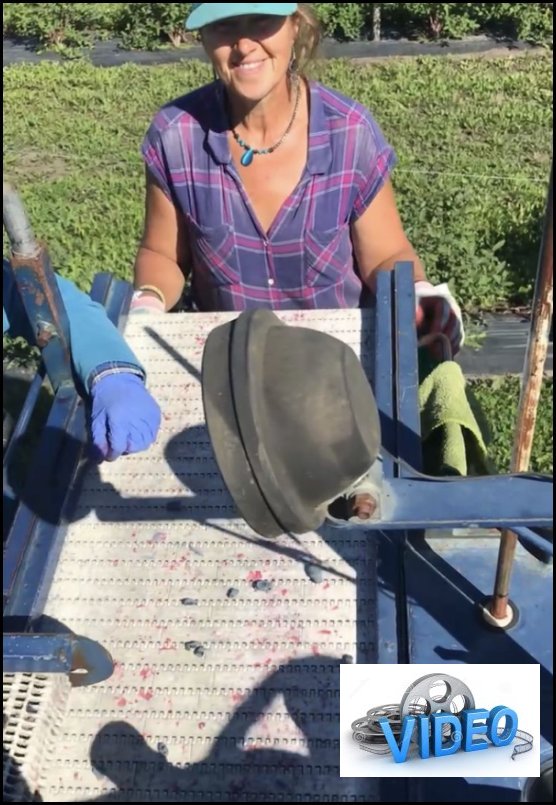 rae
harvester
