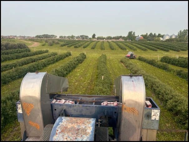 harvester
              working